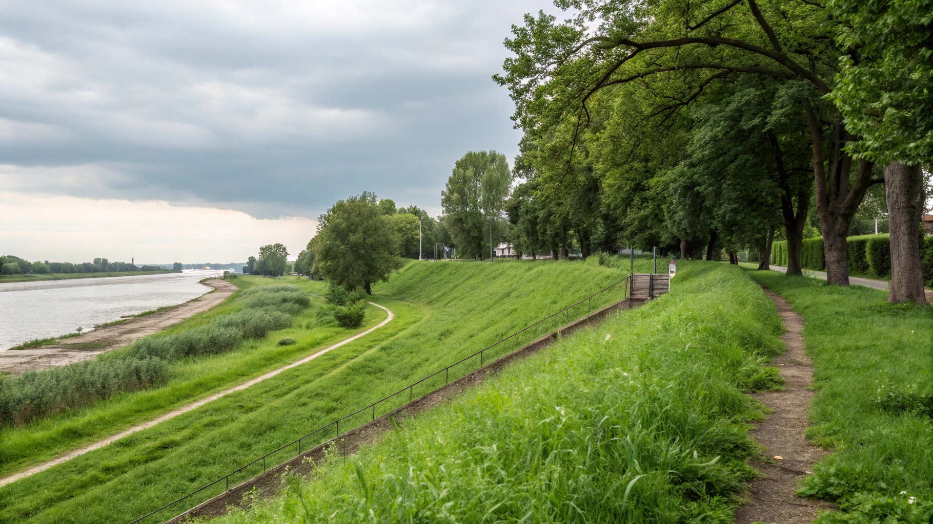 Wallify: шпалери для робочого столу